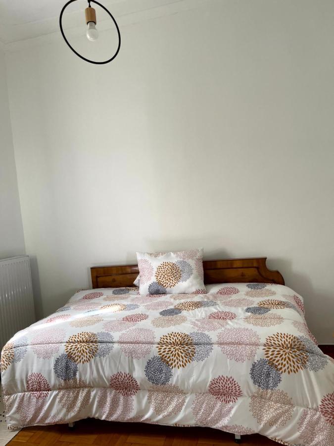 Η Ελπίδα Και Η Γιάννα Ξεκίνησαν Ένα Χώρο Cute Apartment Волос Екстериор снимка