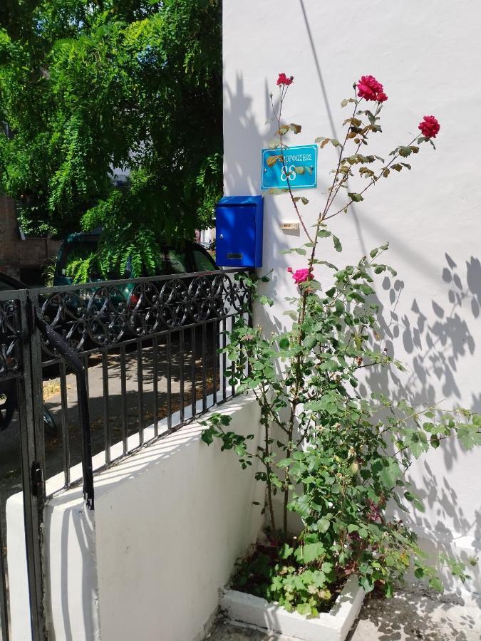 Η Ελπίδα Και Η Γιάννα Ξεκίνησαν Ένα Χώρο Cute Apartment Волос Екстериор снимка