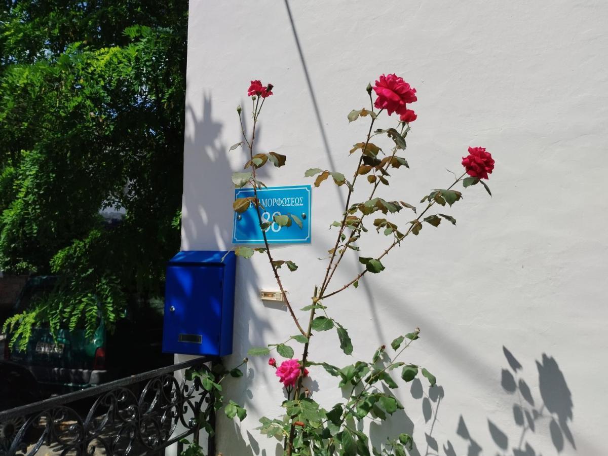 Η Ελπίδα Και Η Γιάννα Ξεκίνησαν Ένα Χώρο Cute Apartment Волос Екстериор снимка