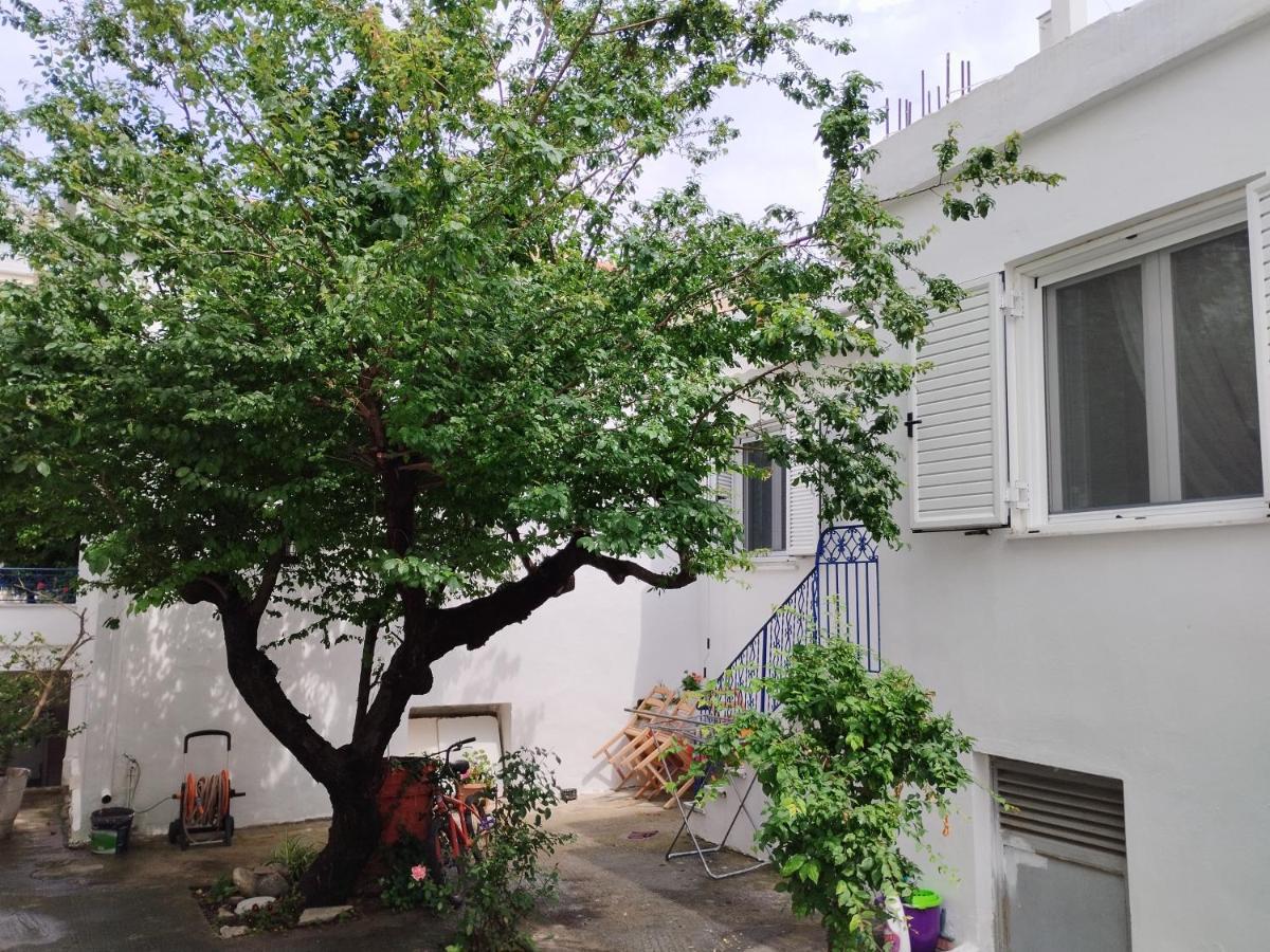 Η Ελπίδα Και Η Γιάννα Ξεκίνησαν Ένα Χώρο Cute Apartment Волос Екстериор снимка
