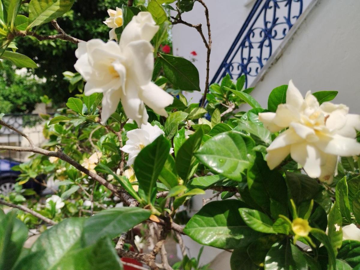 Η Ελπίδα Και Η Γιάννα Ξεκίνησαν Ένα Χώρο Cute Apartment Волос Екстериор снимка